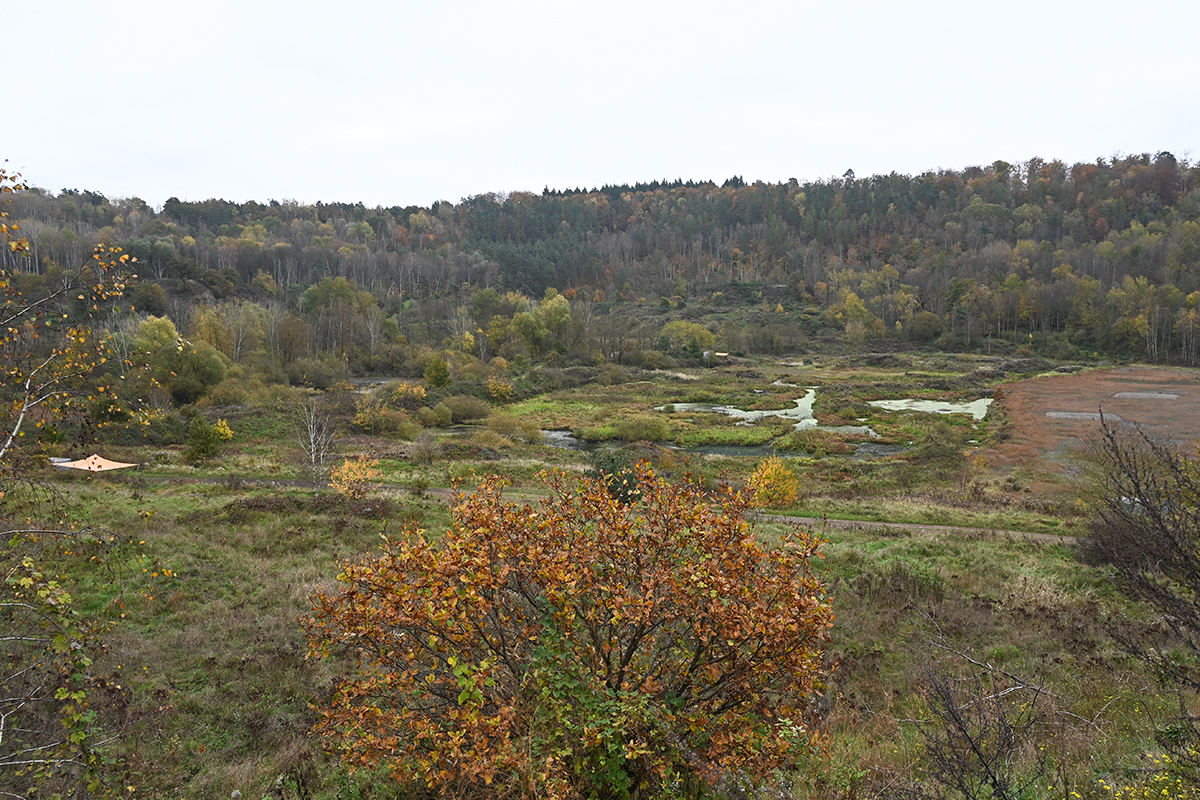 Grube Messel im November 2024, (c) Ina Siebert/NABU-naturgucker.de