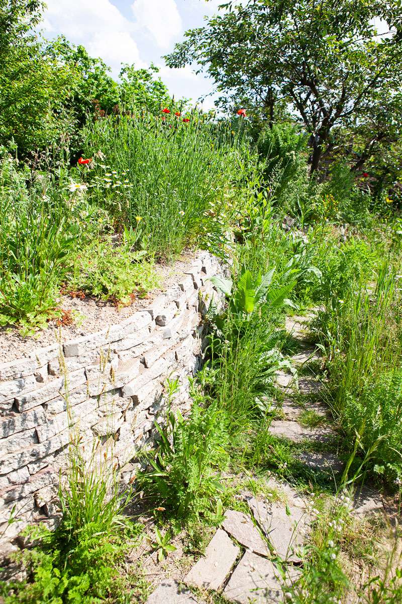 Trockenmauern bereichern Gärten und bieten vielen Arten einen Lebensraum, (c) Stefanie Biel/NaturGarten e.V.