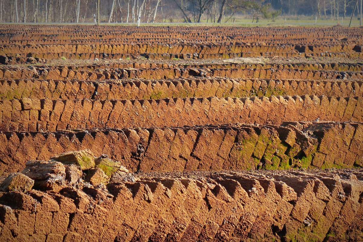 Der Abbau von Torf, vor allem für Pflanzenerde, zerstört Moore und schadet dem Klima, (c) Wälz/Pixabay