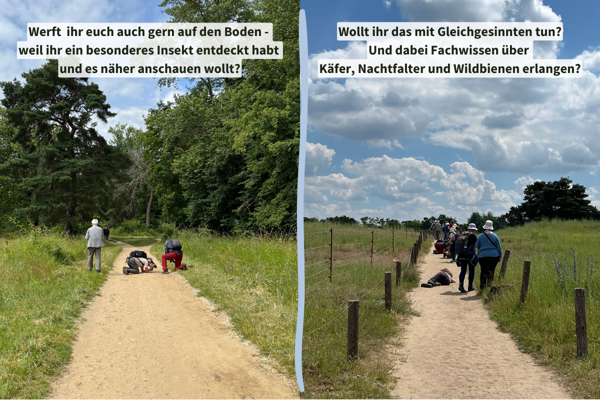 Eindrücke der Netzwerkreise Mainzer Sand von NABU|naturgucker-Reisen im Juni 2024, (c) Ina Siebert/NABU-naturgucker.de