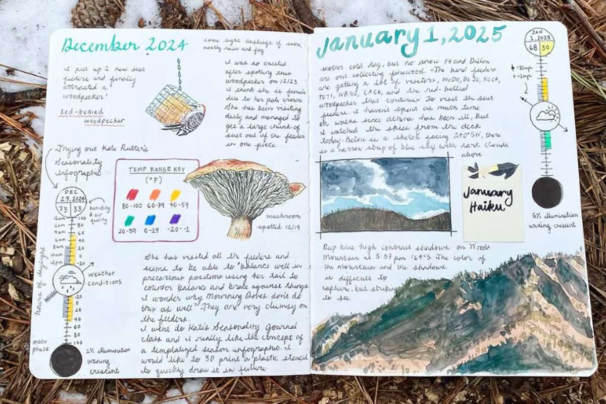 Im Nature Journal können Beobachtungen und Gedanken schriftlich festgehalten werden, (c) Lena Haley