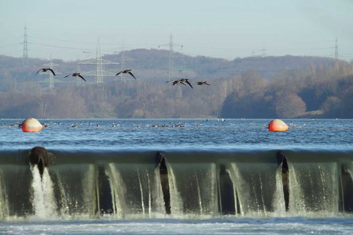 Wehr des Kemnadersees, eines großen Ruhrstausees, (c) Gaby Schulemann-Maier/NABU-naturgucker.de