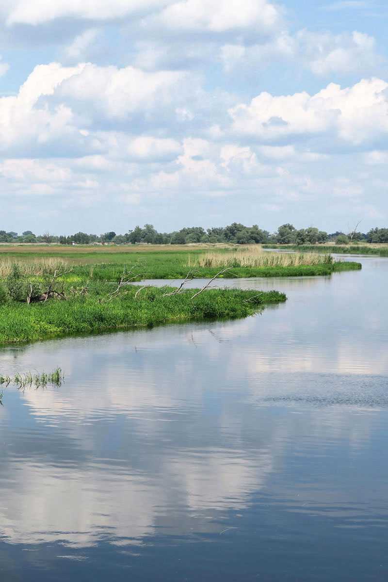 Die Havel in Brandenburg, (c) lcrms/Pixabay