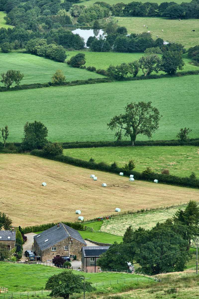 Strukturreiche Feldflur, (c) Siggy Nowak/Pixabay