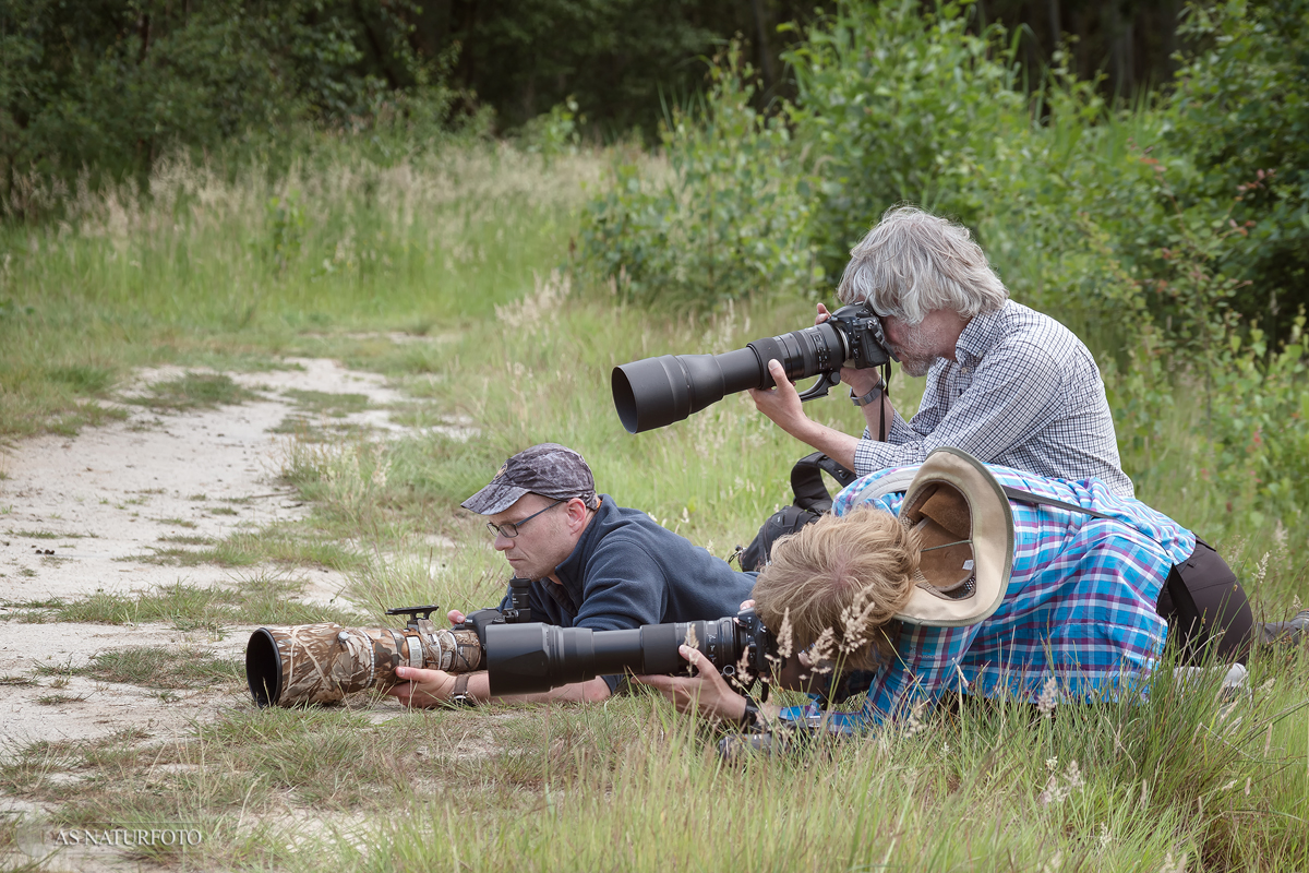 Vogelbeobachter*innen, (c) Regine Schadach/NABU-naturgucker.de