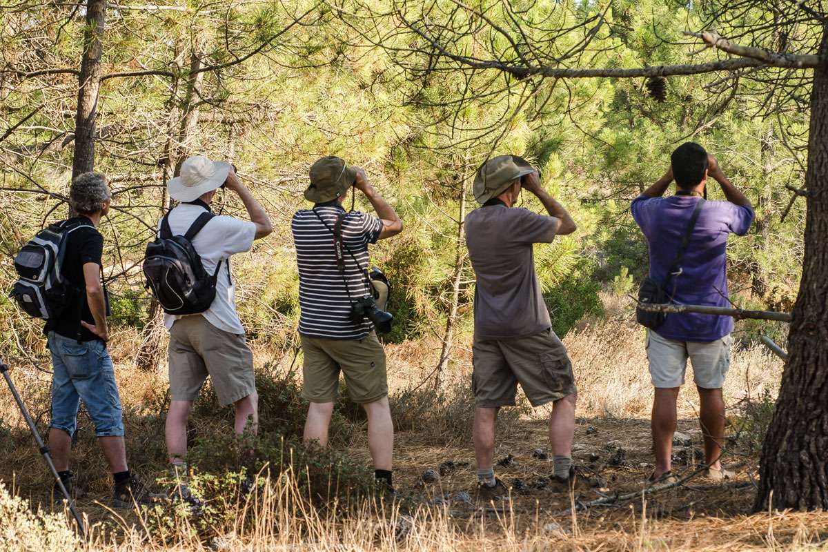 Gemeinsames Naturbeobachten, (c) Stefan Munzinger/NABU-naturgucker.de