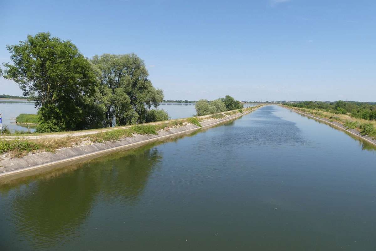 Wichtiges Naturgebiet bei München: Ismaninger Speichersee, (c) Jörg Chmill/NABU-naturgucker.de