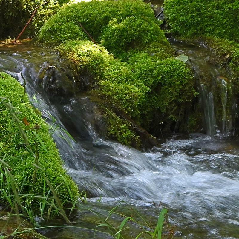 Öffnen 1. Von der Quelle bis zur Mündung