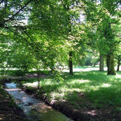 Öffnen 5. Historische Stadtnatur – Stadtpark Möslepark